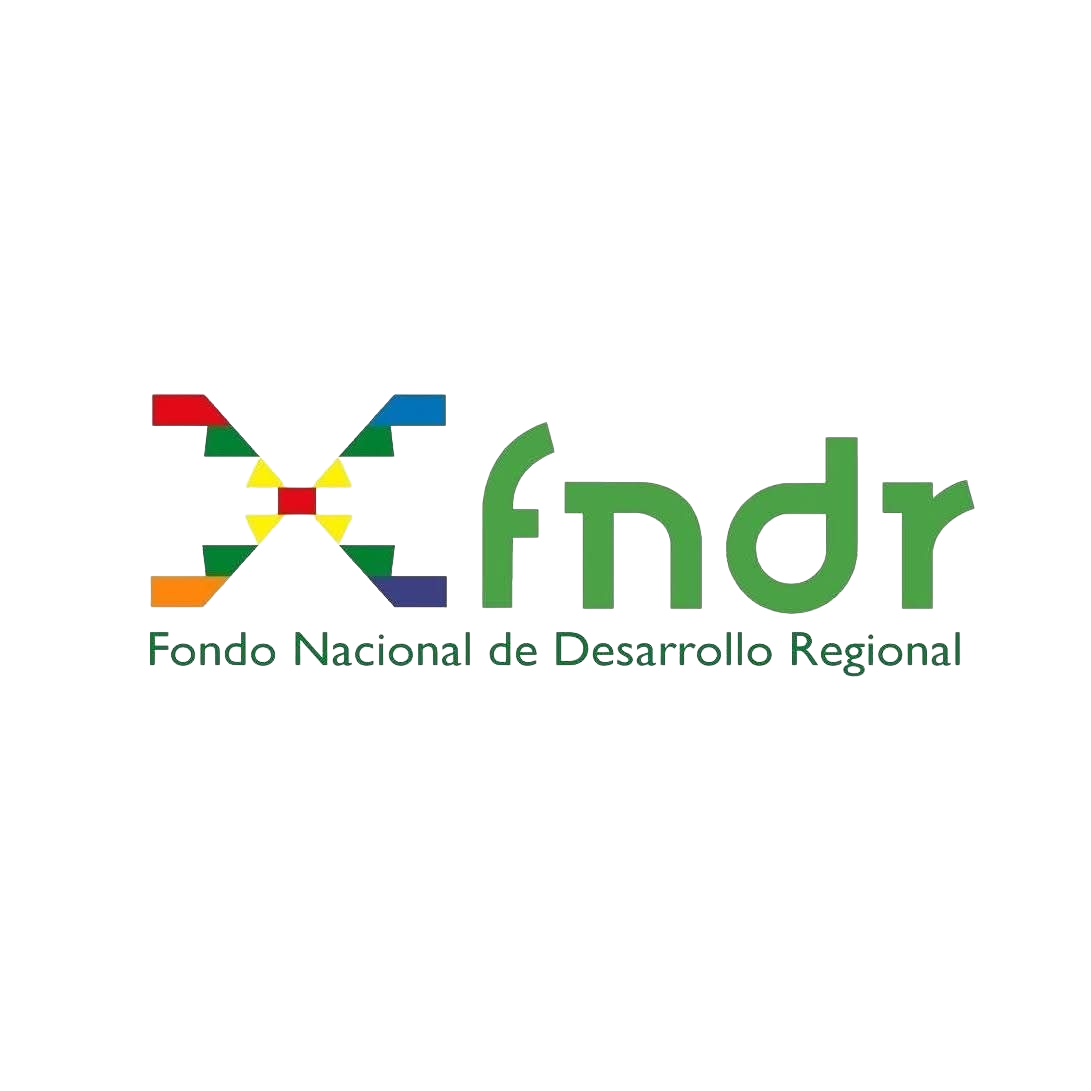 FONDO NACIONAL DE DESARROLLO REGIONAL FNDR